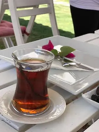 阿拉卡提阿莱瑞斯酒店 3*