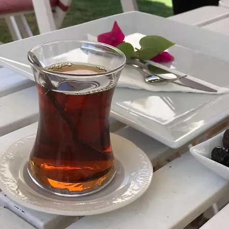 阿拉卡提阿莱瑞斯酒店