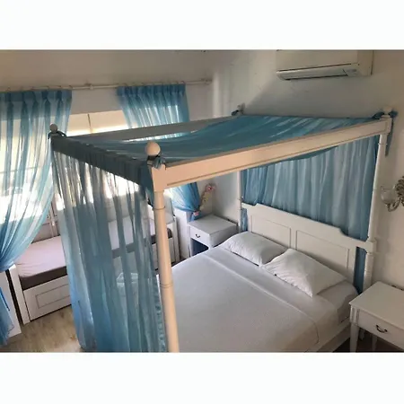 住宿加早餐酒店 阿拉卡提阿莱瑞斯酒店 3*