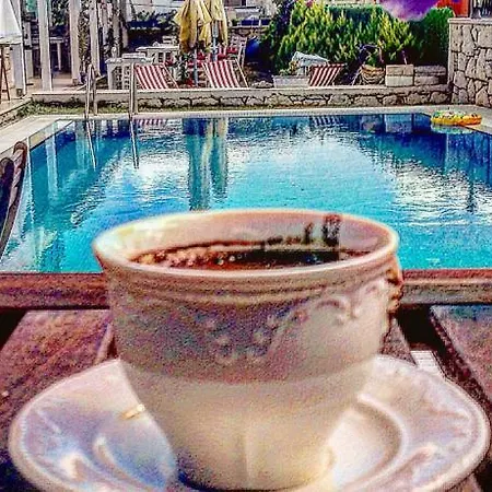 Bed & Breakfast Alaris