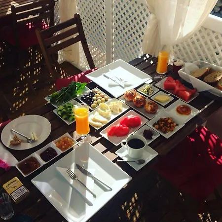 阿拉卡提阿莱瑞斯酒店 住宿加早餐酒店