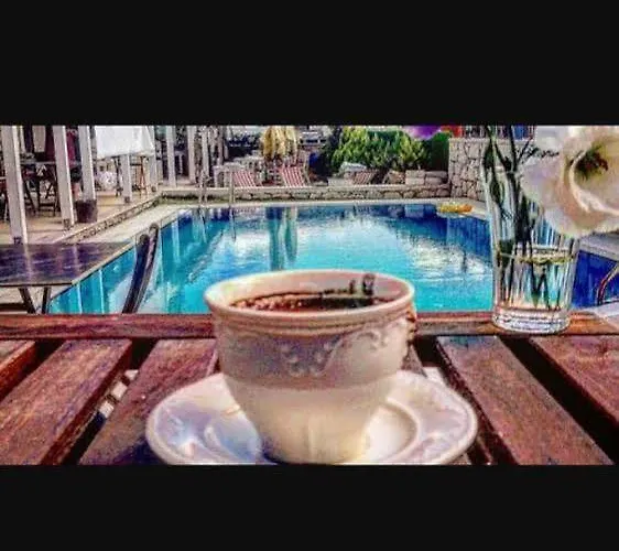 Alaris Bed & Breakfast