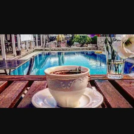 Alaris Отель типа 