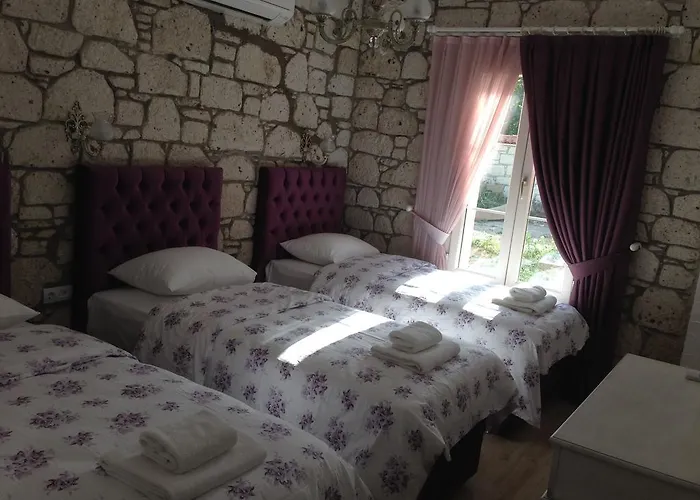 B&B Alaris 3*
